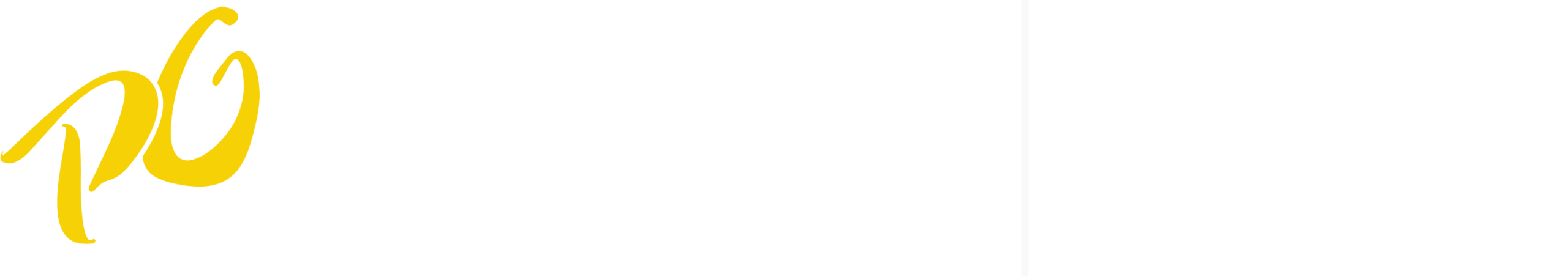 PG_WTW_Sub-brand logo_white